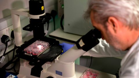 ONU lanza nueva alarma, superbacterias se encaminan a matar a millones de personas en el mundo