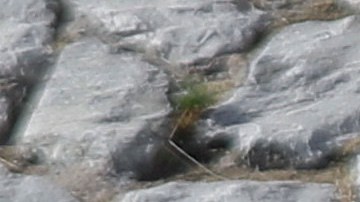 Un agente del INM de México da instrucciones a inmigrantes cubanos en Ciudad Juárez.