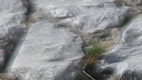 Un agente del INM de México da instrucciones a inmigrantes cubanos en Ciudad Juárez.