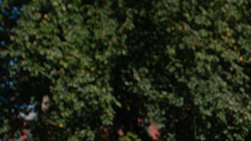 Fiscal llama a declarar a Mark Meadow exjefe de gabinete de Donald Trump sobre el asalto al Capitolio