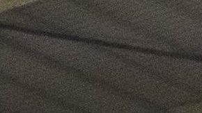 Identifican a sospechoso que mató a tiros del obispo auxiliar de Los Ángeles, David O'Connell