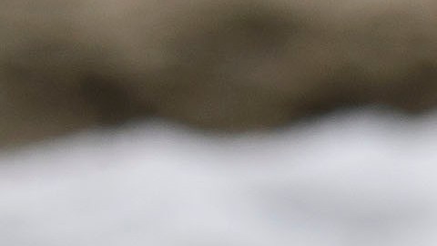 Sadie plays in hail on the beach after winter storms blanketed the region with rain, snow, and hail, on January 29, 2021 in Manhattan Beach, California. (Photo by Patrick T. FALLON / AFP) (Photo by PATRICK T. FALLON/AFP via Getty Images)