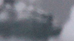 Oso polar mata a una mujer y a su hijo de un año en un ataque "extremadamente raro"