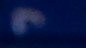 Thibaut Courtois (D) y Karim Benzema (I).