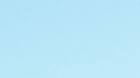 La afición inglesa es una de las más apasionadas de Europa.