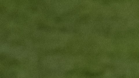 Chicharito se prepara para afrontar una nueva temporada en Estados Unidos.