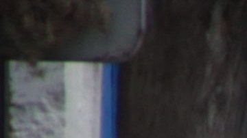 Asesinan a tiros a maestra en México fuera de la escuela y se desata pánico entre alumnos