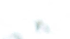 Evan Corcoran, abogado de Trump, en el Palacio de Justicia Federal de Brooklyn. el 1 de septiembre de 2022.