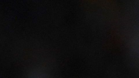 Desde su debut como profesional ha pertenecido al conjunto culé