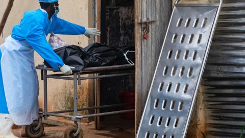 Descubren en África brote del virus de Marburgo que cauda fiebre hemorrágica casi tan letal como el ébola