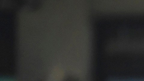 LAFC iniciará el torneo con un duelo ante Los Ángeles Galaxy.