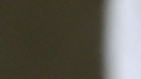 FBI capturó a líder neonazi y desarticula complot para atacar la red eléctrica de Baltimore