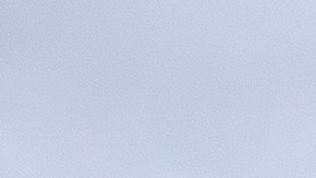 La Policía del Capitolio refuerza la vigilancia ante el próximo discurso del Estado de la Unión.