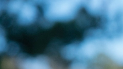Descubren que niño de 6 años en Virginia que disparó a maestra supuestamente trató de estrangular a otra profesora tiempo atrás
