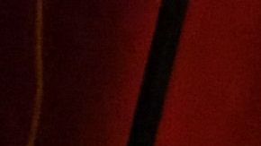 Los artistas y animadores tienen un papel para combatir los delitos motivados por el odio y la hostilidad que los origina. (Getty Images)