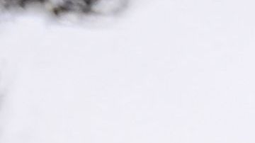 Family and friends of Anthony Lowe hold a news conference to demand an investigation into his death outside of the Huntington Park Police Department in Huntington Park, California, on January 30, 2023. - Lowe was reportedly in a wheelchair with both legs amputated at the knees and undergoing a mental health crisis when he was shot to death by Huntington Park police on January 26, 2023. (Photo by Patrick T. FALLON / AFP) (Photo by PATRICK T. FALLON/AFP via Getty Images)