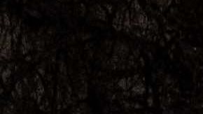 El hielo cubre las líneas del tranvía en el centro de Memphis, Tennessee, el 31 de enero de 2023.