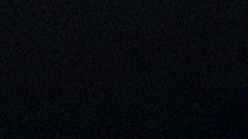 Biden y Harris participaron en la reunión de invierno del DNC en Filadelfia.