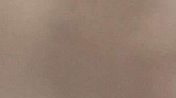 Foto referencia de pingüinos.