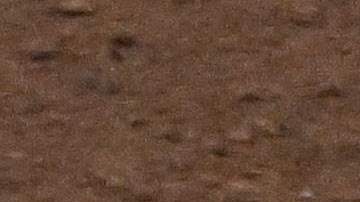 México consiguió su cuarta victoria en el torneo.