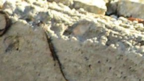 Terremoto en Turquía y Siria: ¿cuánto tiempo puede sobrevivir una persona bajo los escombros?