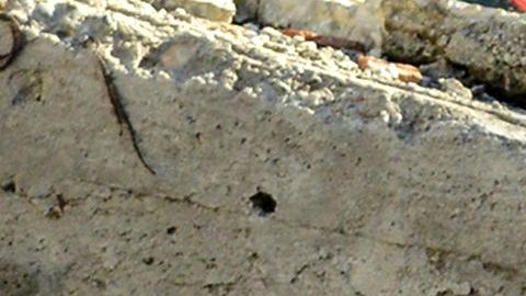 Terremoto en Turquía y Siria: ¿cuánto tiempo puede sobrevivir una persona bajo los escombros?
