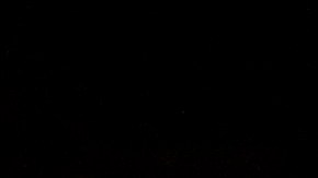 Tiroteo en la Universidad Estatal de Michigan: Varias personas resultan heridas y el sospechoso sigue prófugo