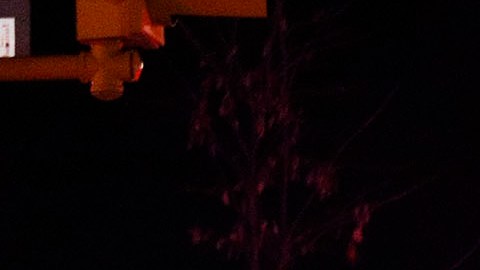 Identifican a sospechoso y víctimas del tiroteo en Universidad Estatal de Michigan