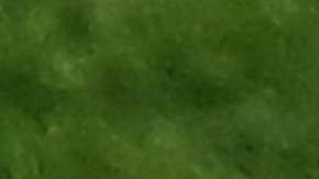 Neymar Jr. durante un partido de la UEFA Champions League con el PSG.