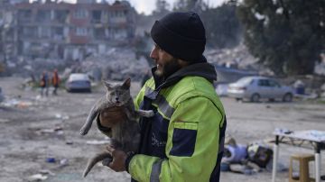 Bombero turco rescata gato atrapado entre escombros; lo adopta después de que el animal se negó a separarse
