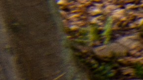 Un trabajador de EPA busca peces muertos y chequea el agua para comprobar si hay productos químicos.