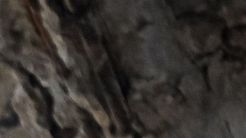 ¿Cómo y cuándo podría haber paz en Ucrania?