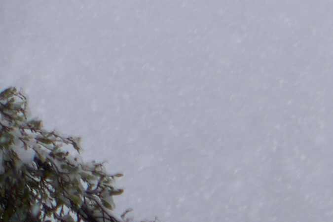 A car is covered in heavy snow in the town of Mount Baldy, California, on February 24, 2023. - Californians more used to flip flops and shorts were wrapping up warm Thursday as a rare winter blizzard, the first in more than 30 years, loomed over Los Angeles, even as the US East Coast basked in summer-like temperatures. (Photo by Allison Dinner / AFP) (Photo by ALLISON DINNER/AFP via Getty Images)