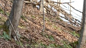 La contaminación química preocupa a vecinos de East Palestine, en Ohio.