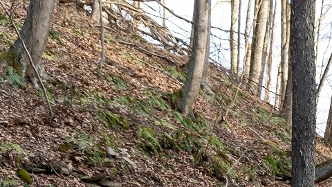 La contaminación química preocupa a vecinos de East Palestine, en Ohio.