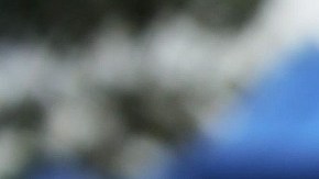 El Censo del 2020 enfrentó varios retos.