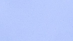 Joan Laporta (D) y Lionel Messi (I).