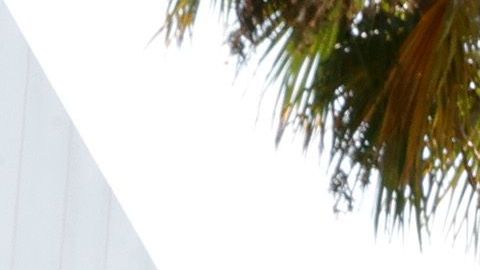 Oscar De La Hoya asiste a un entrenamiento de medios abierto al público.