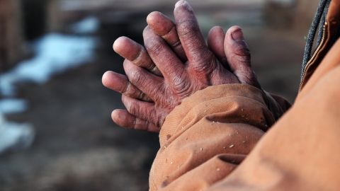 El 30% de los trabajadores agrícolas de EE.UU. son mexicanos inmigrantes.