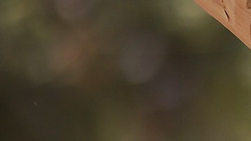 VIDEO: Hombre se disfraza de Jesús, carga una cruz hecha de cajas de cerveza y desata polémica en la web