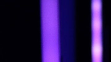 John Cena, afamado luchador y actor estadounidense.