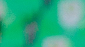 Julián Araujo en un entrenamiento con la Selección de México.