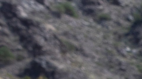 Rancheros de Arizona se han quejado del paso de inmigrantes y narcos por sus ranchos.