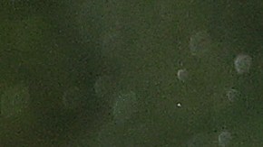 Manny Machado está en su último año de contrato.