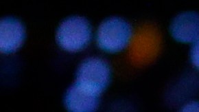 Luka Doncic (izquierda) y Kyrie Irving (derecha) disputando un balón en la NBA.