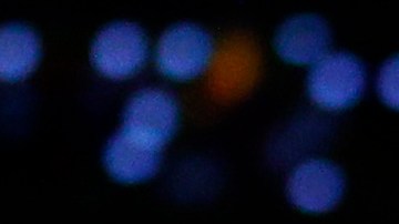 Luka Doncic (izquierda) y Kyrie Irving (derecha) disputando un balón en la NBA.