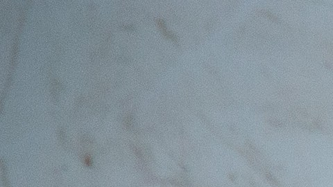 Zoo japonés resuelve el misterio de cómo una gibona se quedó embarazada mientras vivía aislada