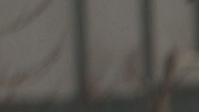 SAUSALITO, CALIFORNIA - JANUARY 07: Cars drive by a sign warning of storms hitting the Bay Area on January 07, 2023 in Sausalito, California. The San Francisco Bay Area continues to get drenched by powerful atmospheric river events that have brought high winds and flooding rains. The storms have toppled trees, flooded roads and cut power to tens of thousands. Storms are lined up over the Pacific Ocean and are expected to bring more rain and wind through next week. (Photo by Justin Sullivan/Getty Images)