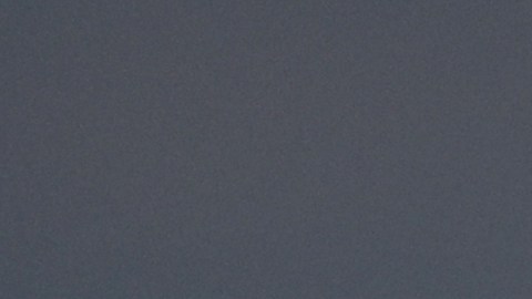 Michael Beale, DT de Glasgow Rangers.