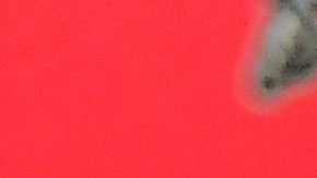 Tom Brady durante una rueda de prensa con Tampa Bay Buccaneers.